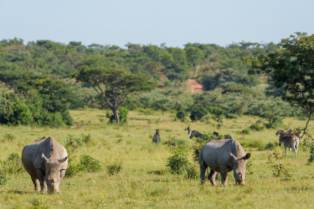 Elephants Crossing Welgevonden Game Reserve Exteriér fotografie